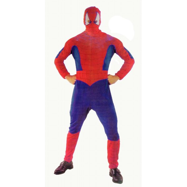 Αποκριάτικη Στολή Spider Hero